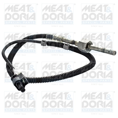 Sensor, exhaust gas temperature